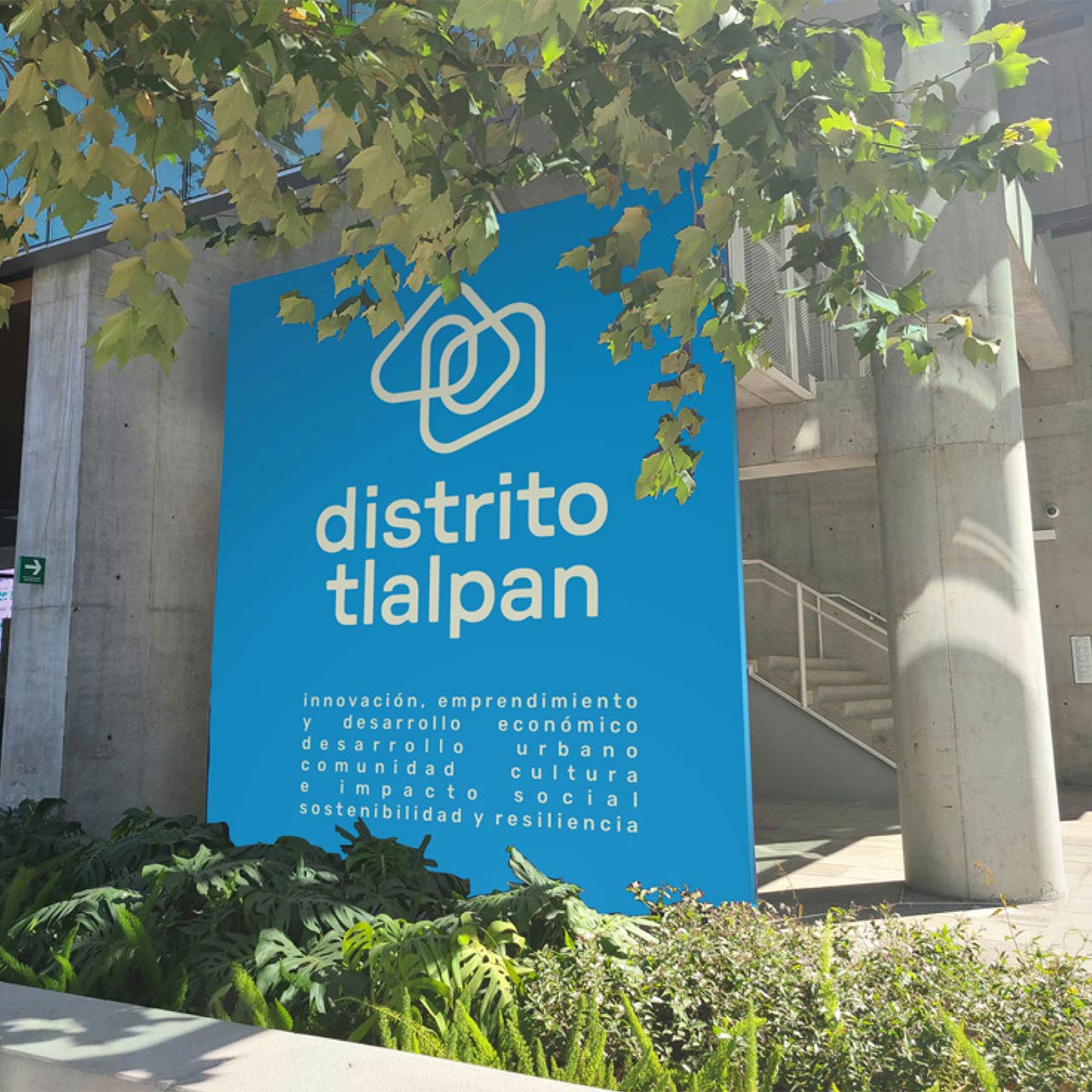 Diseño de branding y sistema visual de marca — Durandesigner Studio