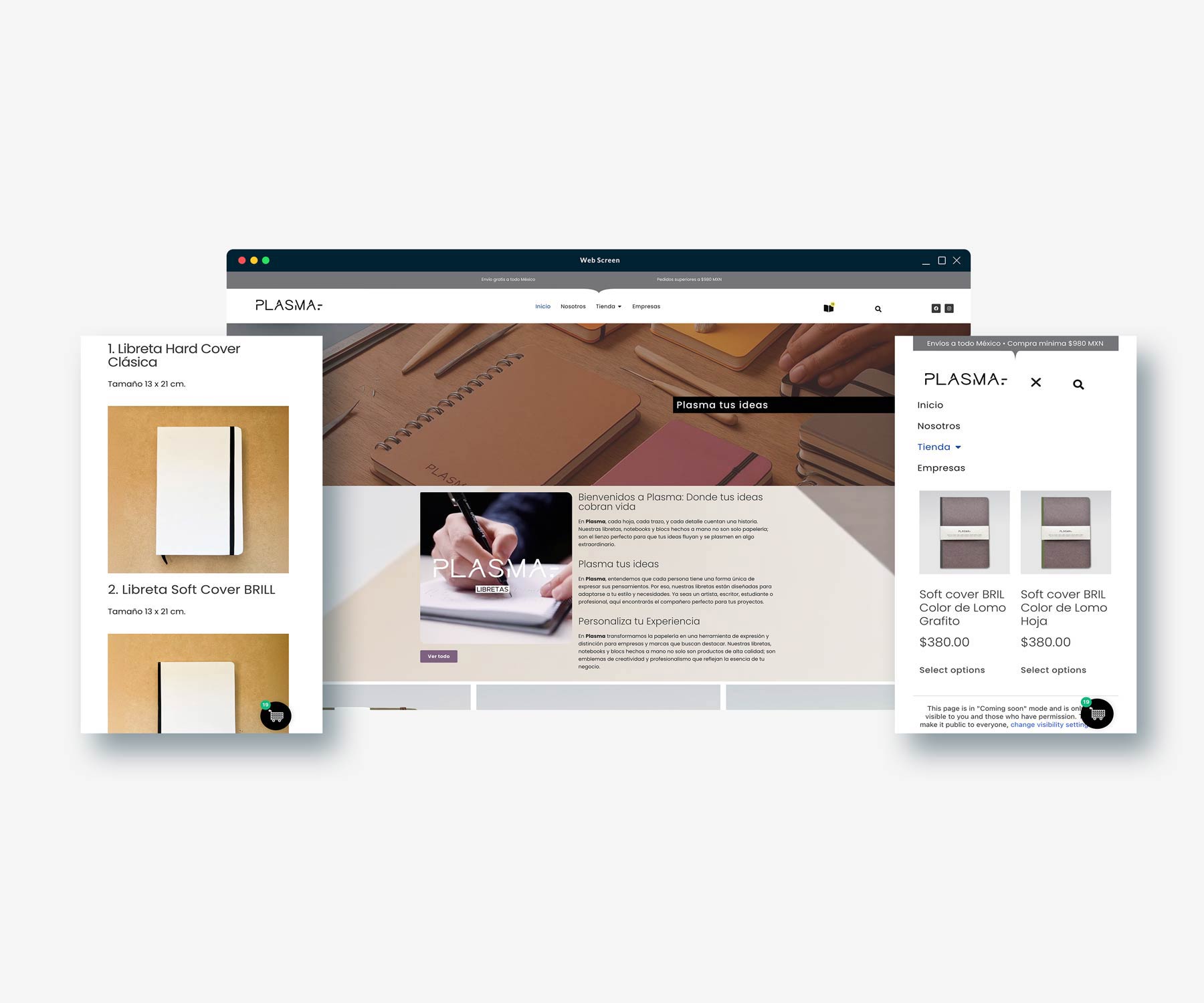 Diseño Web ecommerce